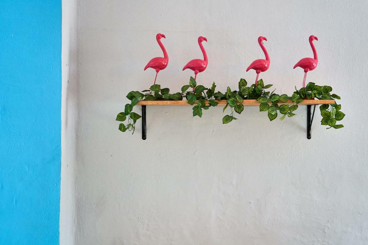 גואדלחארה Hostal Americana מראה חיצוני תמונה